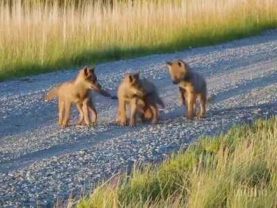 OpenAI's new video generator reminded me of a certain champion