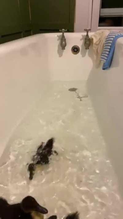 Bath before bed zoomies