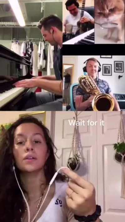 Cat nom nom credit:youtube