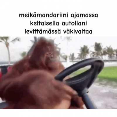 Minä🚕irl
