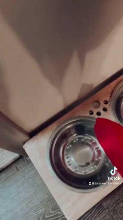 You See That Angry Look?