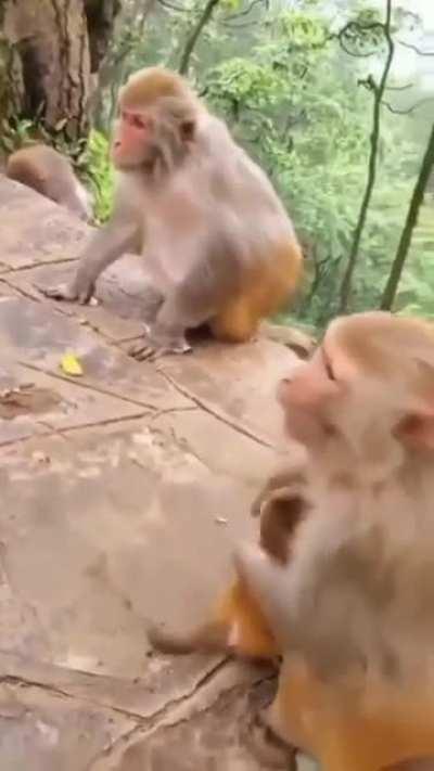 Why hit bebe so hard