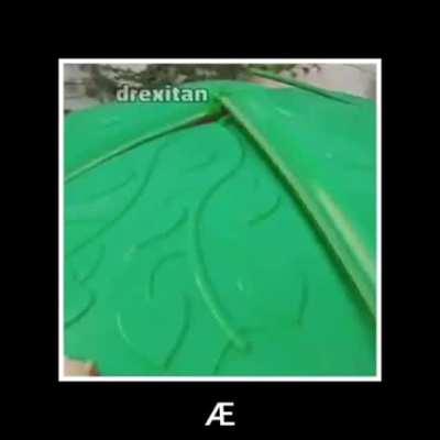 parents are dumb too