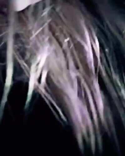 EUPHORIA//1998TRUMAN