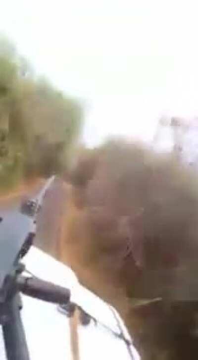 CJNG hitmen patrolling in the alleged state of Michoacan