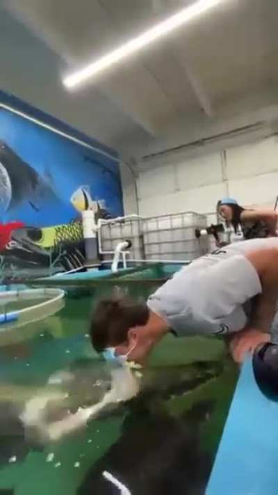Man gets bitten by fish, falls in fish tank