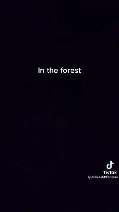 M'goodboy hunts only the finest tendies for Amber