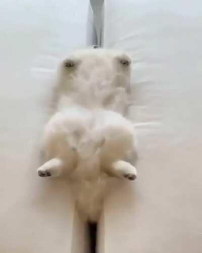 I aspire to be this chill