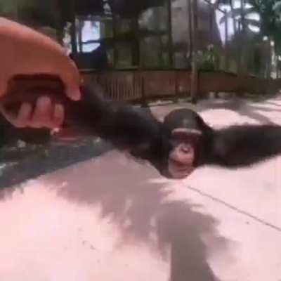 Monke
