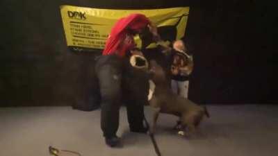 Тренированный