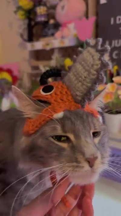 I made a Pochita hat for my cat 🐱