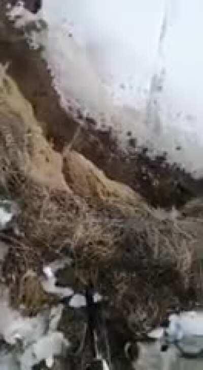 He didn't even say thank you