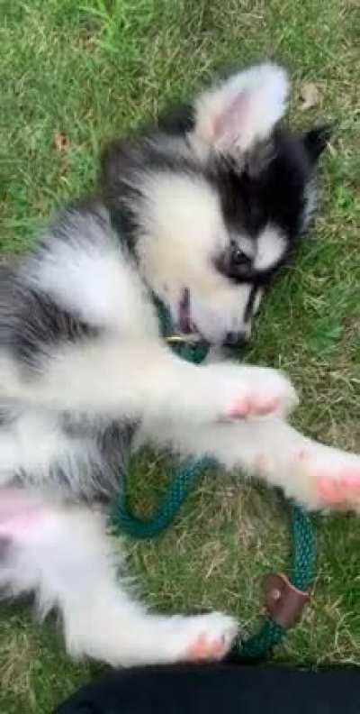 Never thought I could be so in love