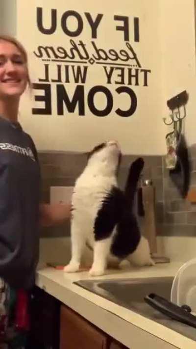 Aww yisss, that’s the spot!