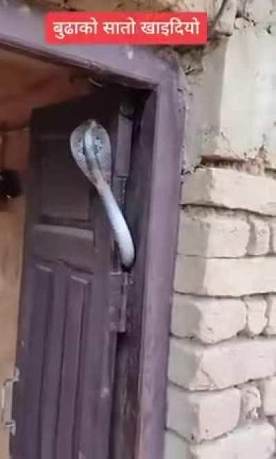 Ты не пройдешь!