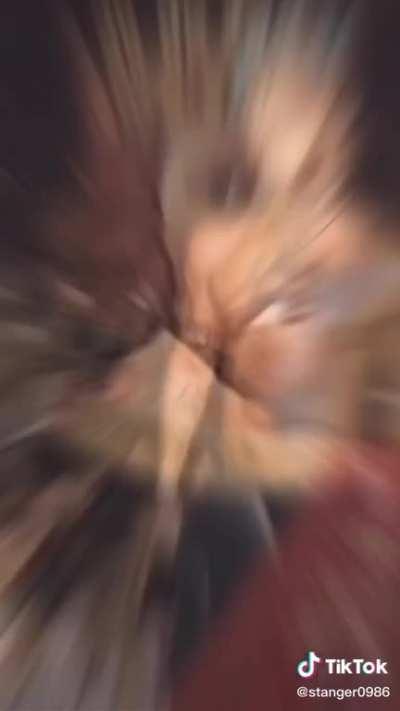 The fuck is this shit?!