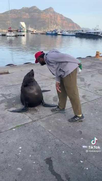 Nicholas, a homeless man from hour bay cape town, has trained a wild seal