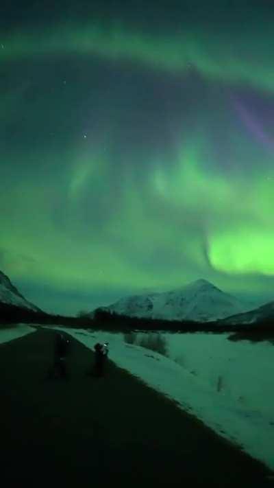 Two nights ago I witnessed the most colorful aurora I have ever seen in Cantwell, Alaska