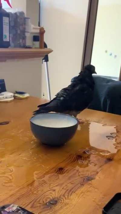 Let me just take a bath here in this bowl..