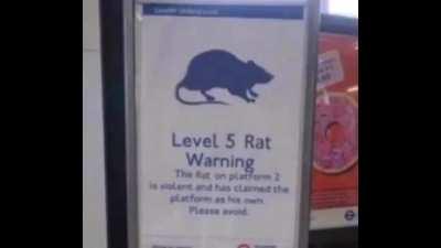 Arse lash boss battles