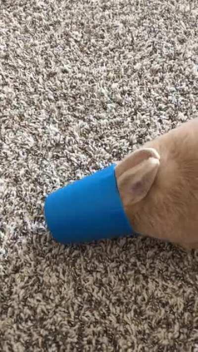 Do your buns do this??