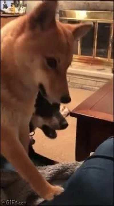 The audacity of this b*tch