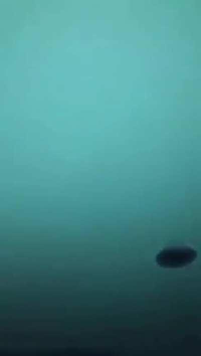 Similar to touching the eye of a snail.