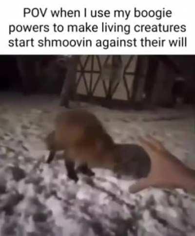 Animal powers be like