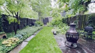My backyard during a spring storm, Pennsylvania.