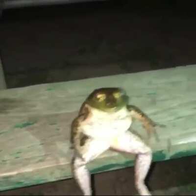 frog is mood