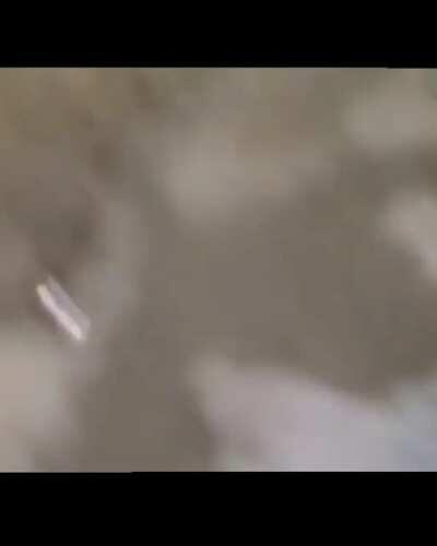 Coe mano ksksksksksksksks