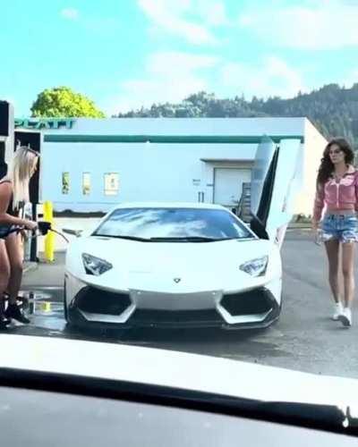 Brain.exe has stopped working