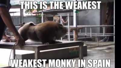 Imagina un mundo donde todo es España 🇪🇸