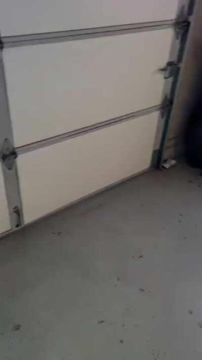 Imagine walking down a dark alley seeing a bloody light