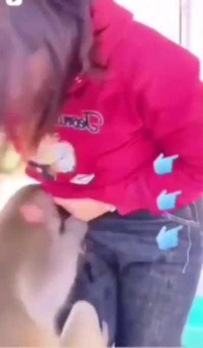 Обезьян запах рыбов учуял 😁