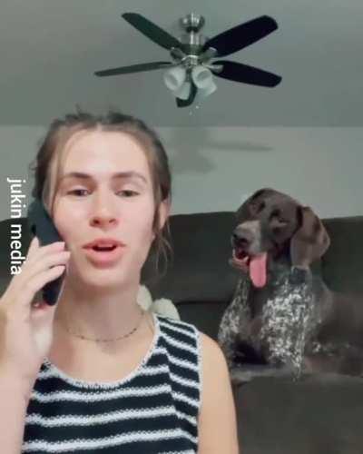 Name-dropping pooch's favorite words to see his reaction