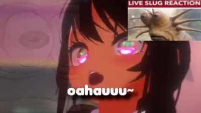 UwU fembwoi nwoises x3