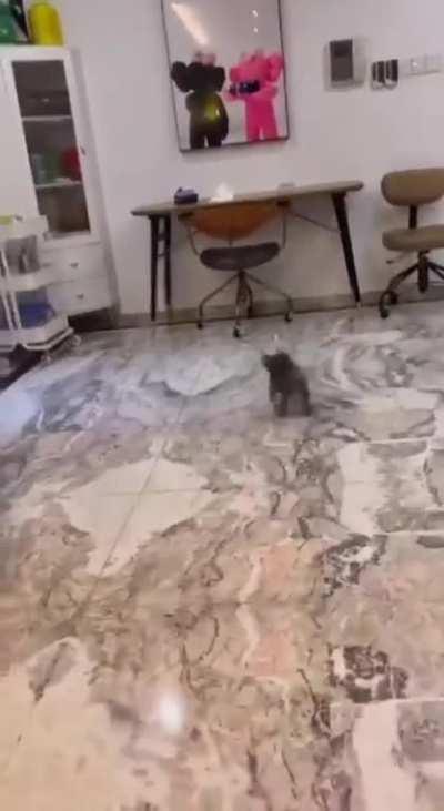 Teeny Tornado, son of the storm