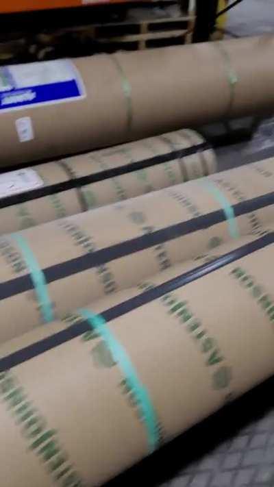 Anyone wanna come play with me?