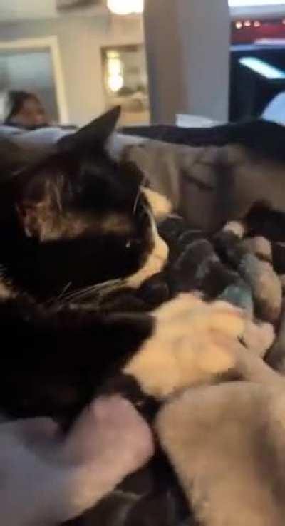 Learning to make biscuits from an expert