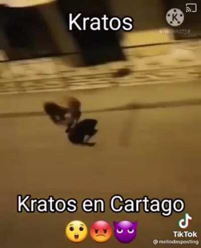 Que guapa la skin del fornite