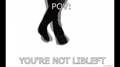 Haha libleft joke