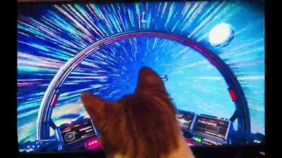 Cat! In! Spaaaaaace!