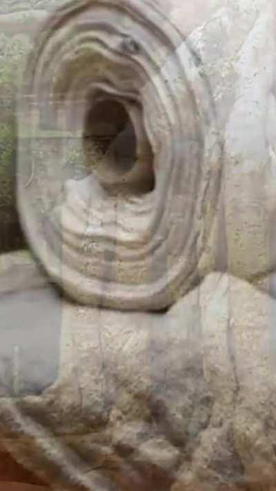 Pyramid scheme centaur