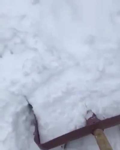 He is really enjoying