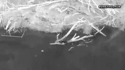 RU POV: Russian Drone dropped grenades on Ukrainian boat and soldiers on the shore.