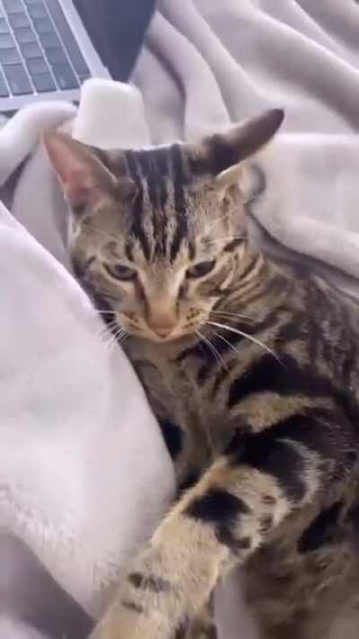 He thought he was being slick