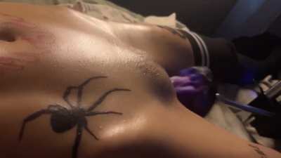 Ellexxaurus(📂 👇)