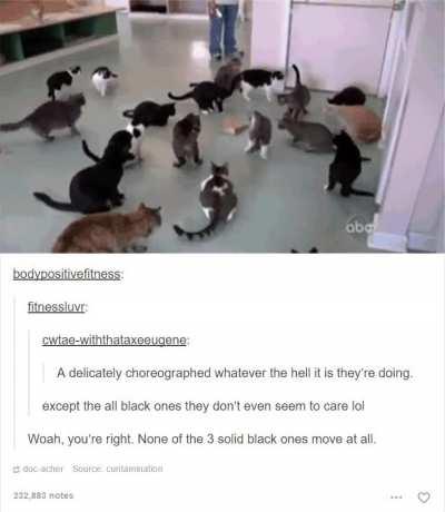 They shan't be swayed by such childish tricks