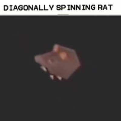 The Vertically spinning rat had a beautiful baby with the Horizontally spinning rat.